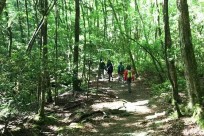 樹海ネイチャーツアー