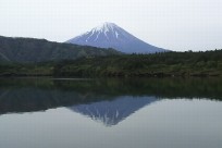 樹海ネイチャーツアー