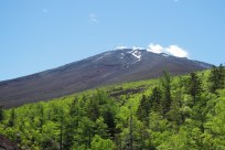 名古屋市立神丘中様（五合目ネイチャートレイル）
