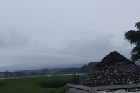 樹海ネイチャーツアー