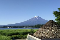 樹海ネイチャーツアー