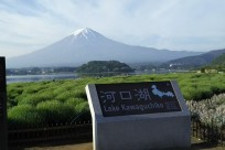 樹海ネイチャーツアー