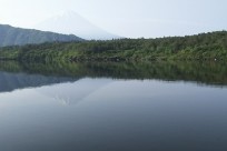 樹海ネイチャーツアー