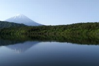 樹海ネイチャーツアー