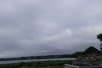 樹海ネイチャーツアー