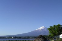 樹海ネイチャーツアー