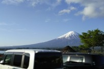 樹海ネイチャーツアー