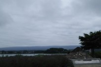 樹海ネイチャーツアー