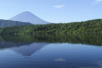 樹海ネイチャーツアー