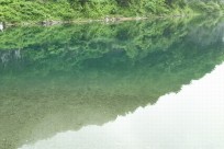 樹海ネイチャーツアー