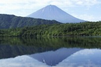 樹海ネイチャーツアー