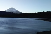 樹海ネイチャーツアー