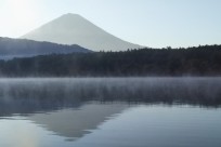樹海ネイチャーツアー