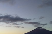 樹海ネイチャーツアー