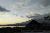 樹海ネイチャーツアー