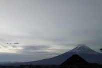 樹海ネイチャーツアー