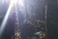 樹海ネイチャーツアー