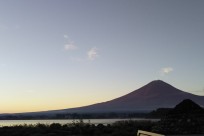 樹海ネイチャーツアー