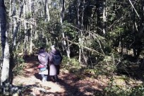 樹海ネイチャーツアー