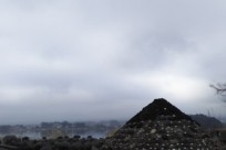 樹海ネイチャーツアー