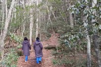 樹海ネイチャーツアー