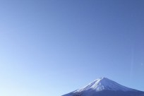 樹海ネイチャーツアー