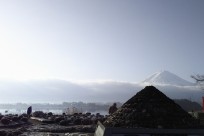 樹海ネイチャーツアー