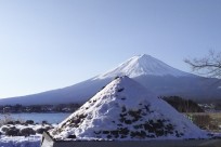 樹海ネイチャーツアー