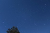 星降る山麓星空ツアー