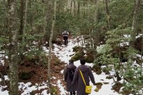 樹海ネイチャーツアー