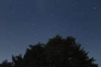 星降る山麓星空ツアー