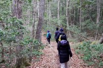 樹海ネイチャーツアー