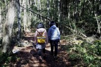 樹海ネイチャーツアー