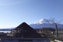 樹海ネイチャーツアー