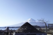樹海ネイチャーツアー
