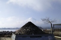 樹海ネイチャーツアー