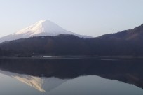 ㈱星野リゾート星のや富士様（樹海ネイチャーツアー）