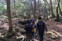 樹海ネイチャーツアー(取材対応）