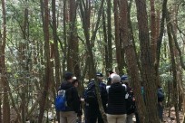 特別樹海ネイチャーツアー(㈱日本旅行国際事業部:ニュージーランド、オーストラリアのゲストの皆様）