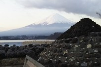 樹海ネイチャーツアー