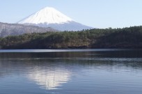 特別樹海ネイチャーツアー(㈱日本旅行国際事業部:ニュージーランド、オーストラリアのゲストの皆様）