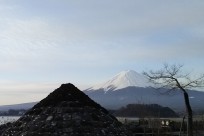 樹海ネイチャーツアー
