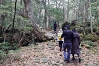 樹海ネイチャーツアー