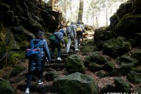 樹海ネイチャーツアー