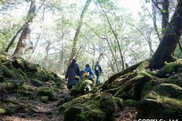 樹海ネイチャーツアー