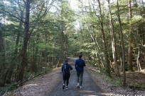 樹海ネイチャーツアー