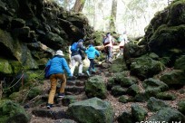 樹海ネイチャーツアー