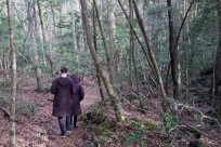 樹海ネイチャーツアー・取材対応