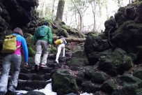樹海ネイチャーツアー