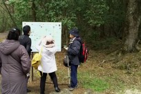 樹海ネイチャーツアー